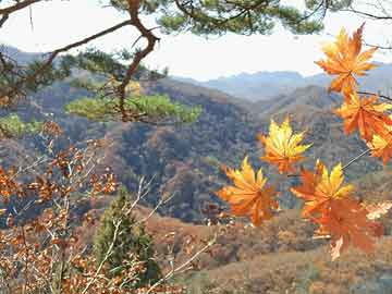 庐山之行，童心所向